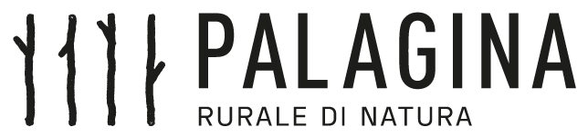 logo Fattiria Palagina